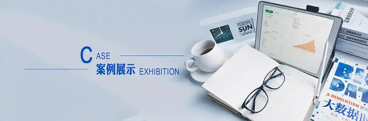 凤山县软件开发